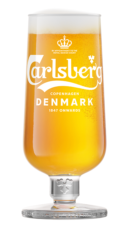 CARLSBERG FIÇI 33 CL
