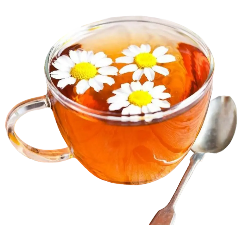PAPATYA ÇAYI